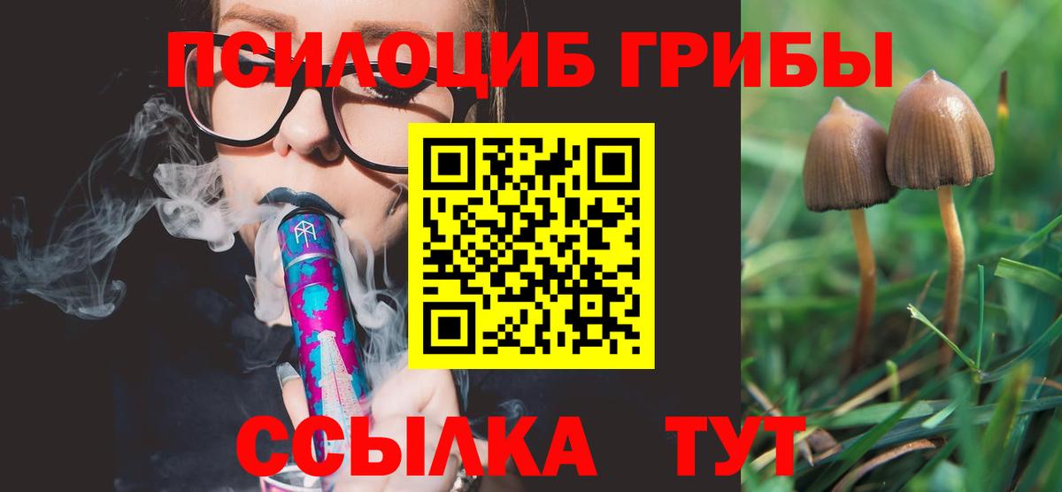 Галлюциногенные грибы Psilocybine cubensis  Псилоцибиновые грибы мицелий  Валуйки  Вход с VPN 